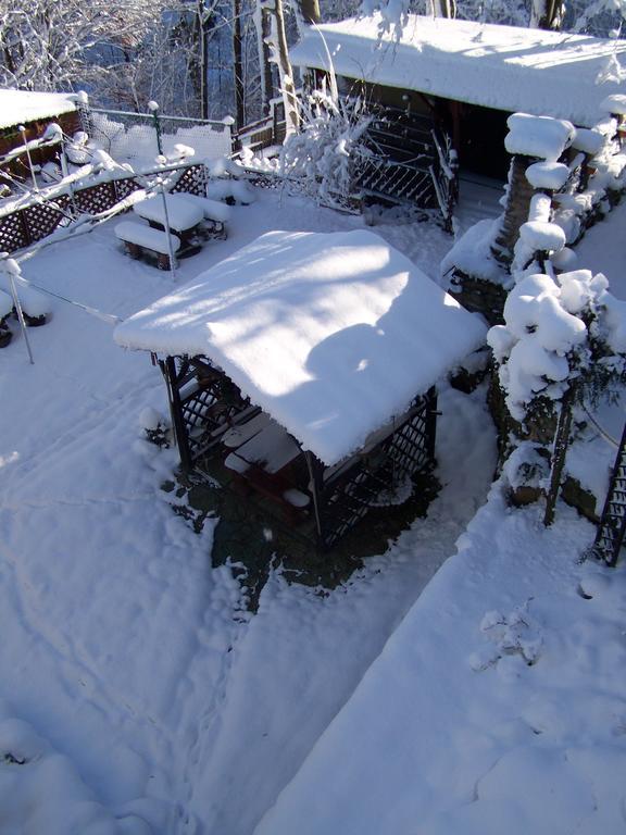 Hotel Beatka Świeradów-Zdrój Exteriér fotografie